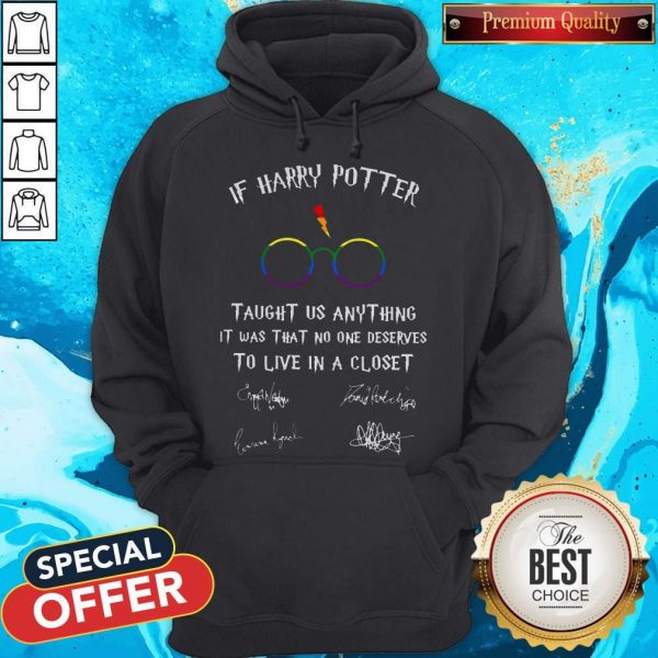 Happy LGBT If Harry Potter Taught Us Anything It Was That No One Hoodiea