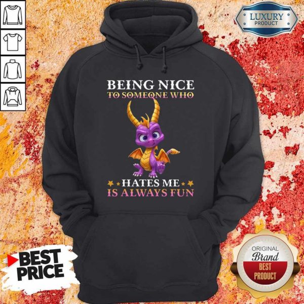 Dragon Being Nice To Someone Who Hates Me Is Always Fun Hoodie