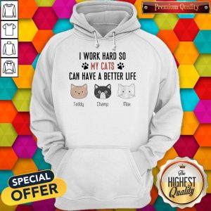 I Work Hard So My Cats Can Have A Better Life Teddy Champ Max Hoodie