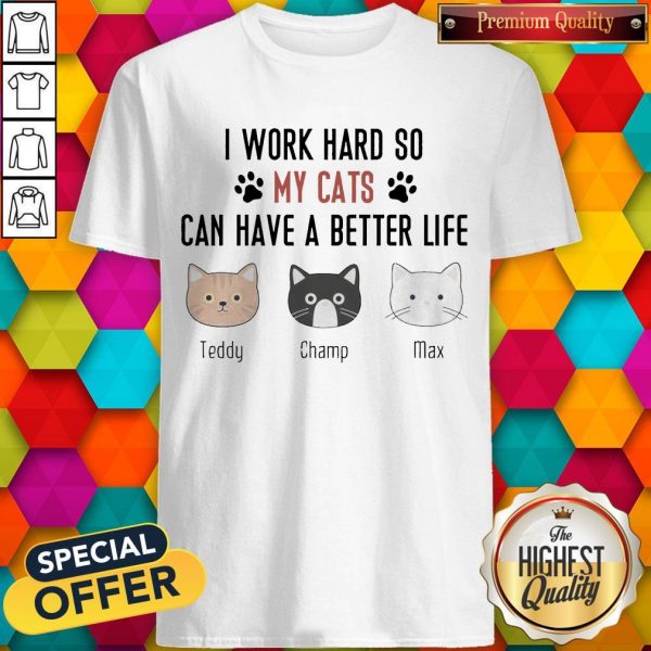 I Work Hard So My Cats Can Have A Better Life Teddy Champ Max Shirt