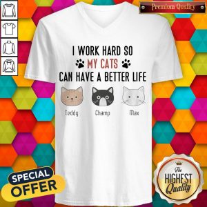 I Work Hard So My Cats Can Have A Better Life Teddy Champ Max V- neck