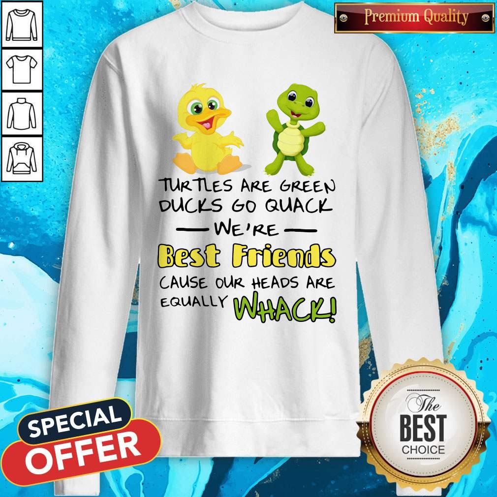 Turtles Are Green Ducks Go Quack We’re Best Friends Sweatshirt 