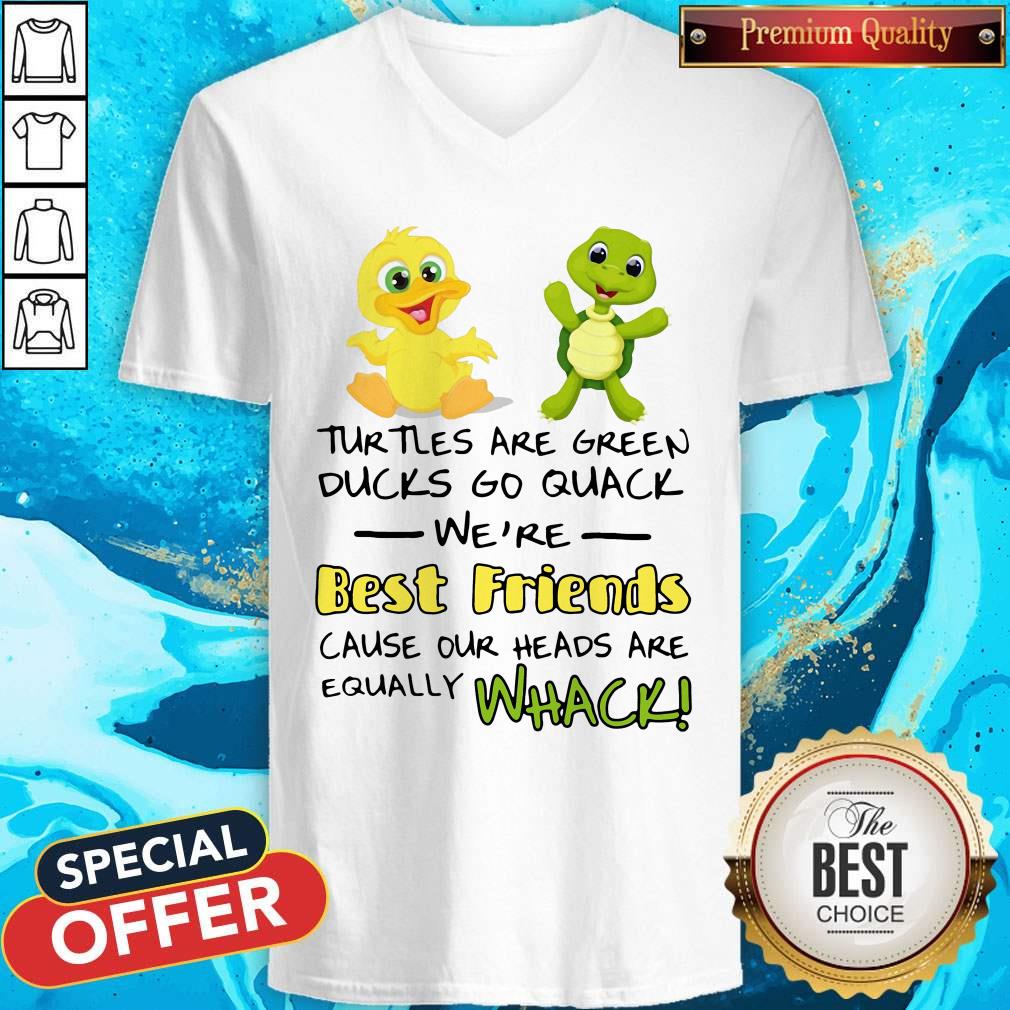 Turtles Are Green Ducks Go Quack We’re Best Friends V- neck