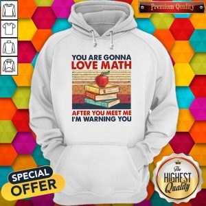 You Are Gonna Love Math After You Meet Me I’m Warning You Vintage Hoodiea