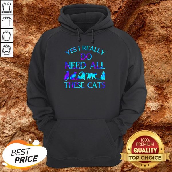 Hot Yes I Really Do Need All These Cats Hoodie