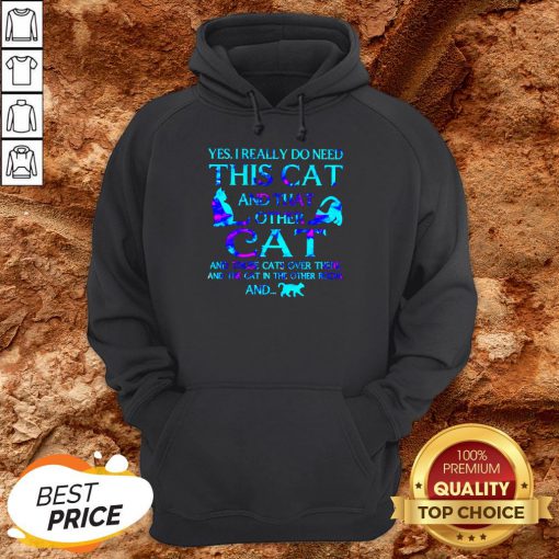 Yes I Really Do Need This Cat There And The Cat In The Other Room Hoodie