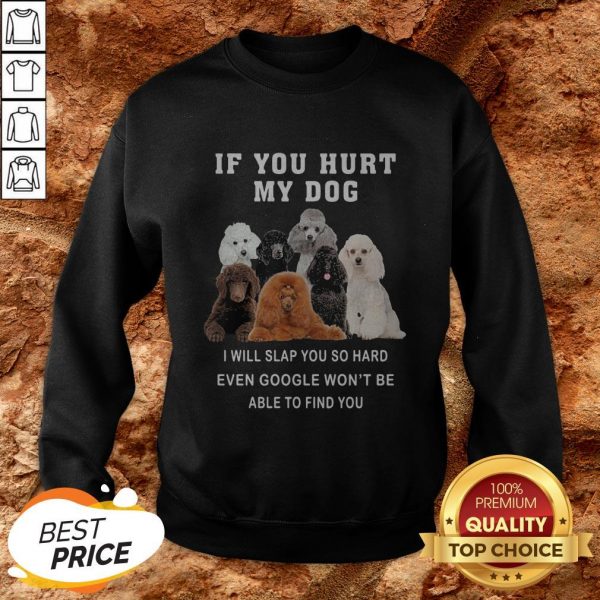 If You Hurt My Dog I Will Slap You So Hard Even Google Won’t Be Able To Find You Sweatshirt