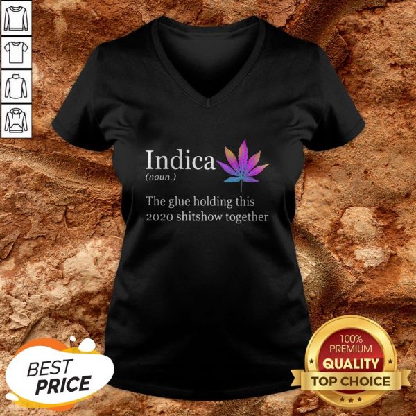 Indica The Glue Holding This 2020 Shitshow Together V-neck