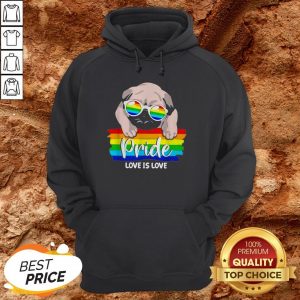 LGBT Pug Pride Love Is Love Hoodie