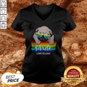 LGBT Pug Pride Love Is Love V-neck