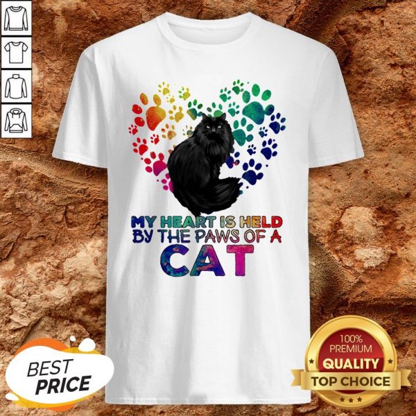 My Heart Is Held By The Paws Of A Cat LGBT ShirtMy Heart Is Held By The Paws Of A Cat LGBT Shirt