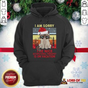 Awesome Cat Santa I Am Sorry The Nice Occupational Therapist Is On Vacation Vintage Hoodie
