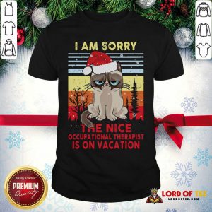 Awesome Cat Santa I Am Sorry The Nice Occupational Therapist Is On Vacation Vintage Shirt