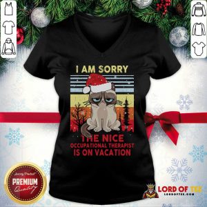 Awesome Cat Santa I Am Sorry The Nice Occupational Therapist Is On Vacation Vintage V-neck