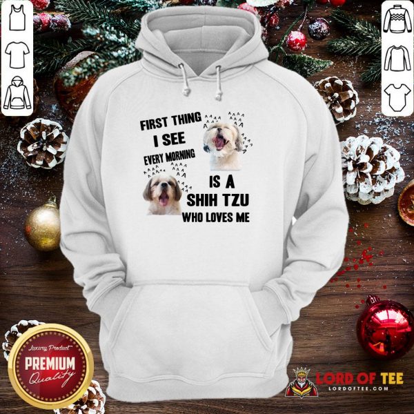 Awesome First Thing I See Every Morning Is A Shih Tzu Who Loves Me Hoodie