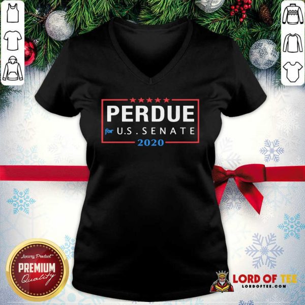 David Perdue For Senator 2020 Senate Georgia Campaign V-neck