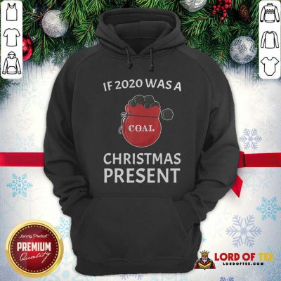 If 2020 Was A Coal Christmas Present Hoodie - Design By Lordoftee.com