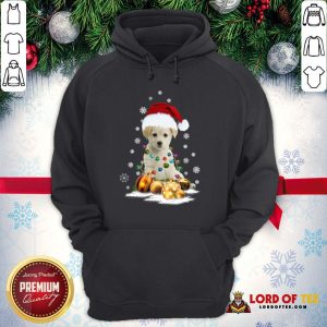 Official Dogs Merry Christmas Ugly Hoodie