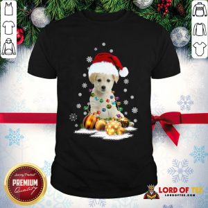 Official Dogs Merry Christmas Ugly Shirt