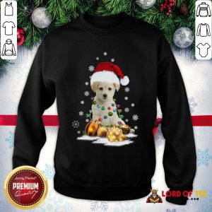Official Dogs Merry Christmas Ugly SweatShirt