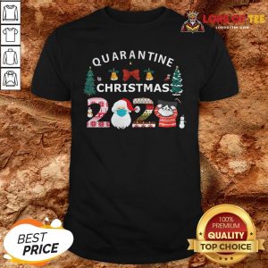 Perfect Quarantine Christmas Santa And Cute Cat 2020 Shirt