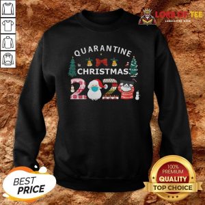 Perfect Quarantine Christmas Santa And Cute Cat 2020 SweatShirt