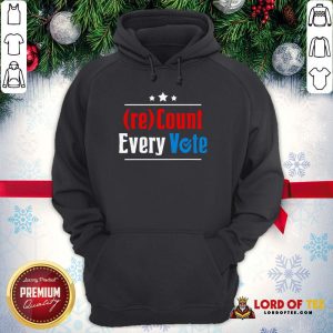 Perfect (re)Count Every Vote Election 2020 Sarcastic Hoodie