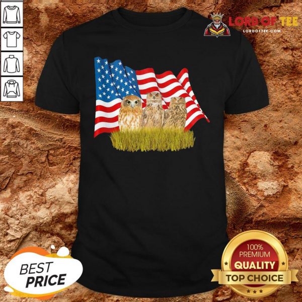 Premium Owls And American Flag Shirt
