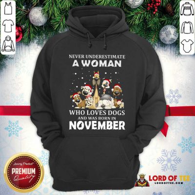Never Underestimate A Woman Who Loves Dogs And Was Born In November Christmas  Hoodie-Design By Lordoftee.com 