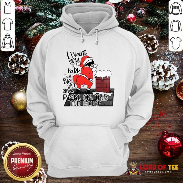 Santa Claus I Want You To Park That Big Red And Light Right On This Rooftop Ugly Christmas Hoodie-Design By Lordoftee.com