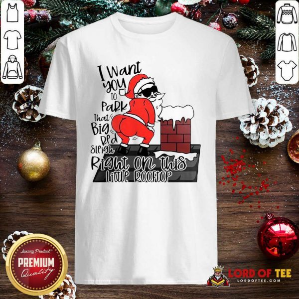 Santa Claus I Want You To Park That Big Red And Light Right On This Rooftop Ugly Christmas Shirt-Design By Lordoftee.com