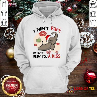  Baby Elephant Santa I Didn’t Fart My Butt Blew You A Kiss Merry Christmas Hoodie-Design By Lordoftee.com 