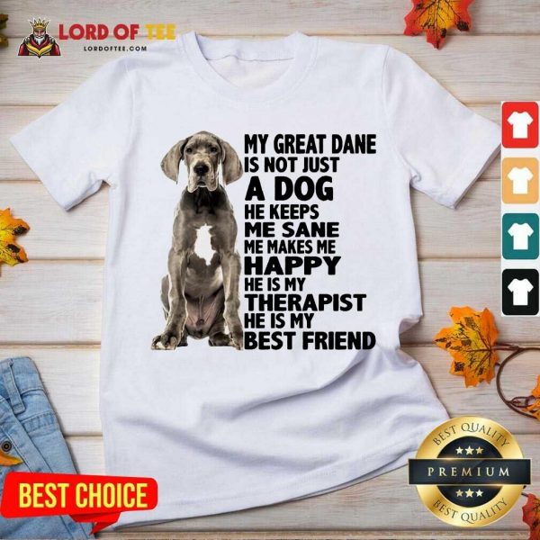 My Great Dane Is Not Just A Dog He Keeps Me Sane Me Makes Me Happy He Is My Therapist He Is My Best Friend V-neck