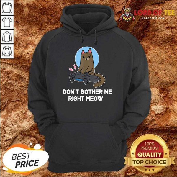 Official Do Not Bother Me Right Cat Hoodie