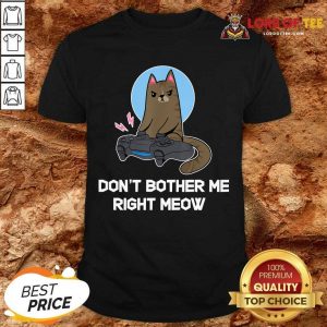 Official Do Not Bother Me Right Cat Shirt