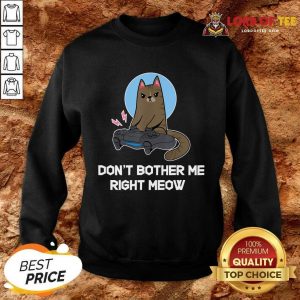 Official Do Not Bother Me Right Cat Sweatshirt