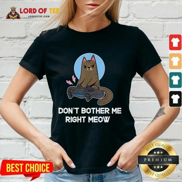 Official Do Not Bother Me Right Cat V-Neck