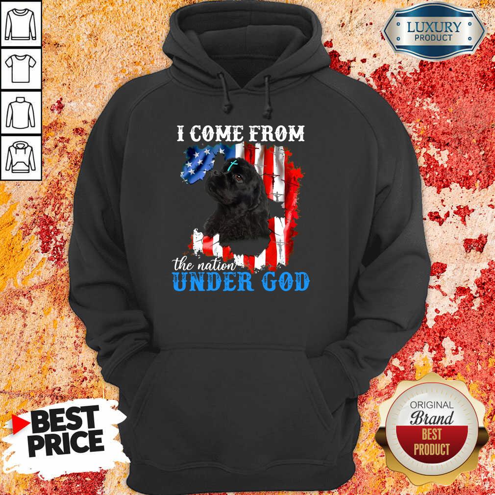 Cocker Spaniel American The Nation Under God Hoodie