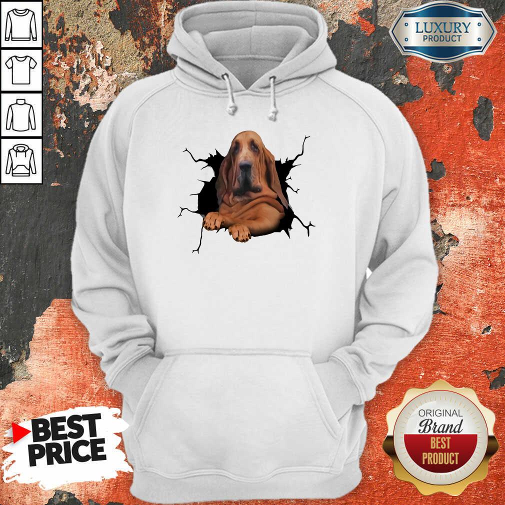 I Love Bloodhound Hoodie