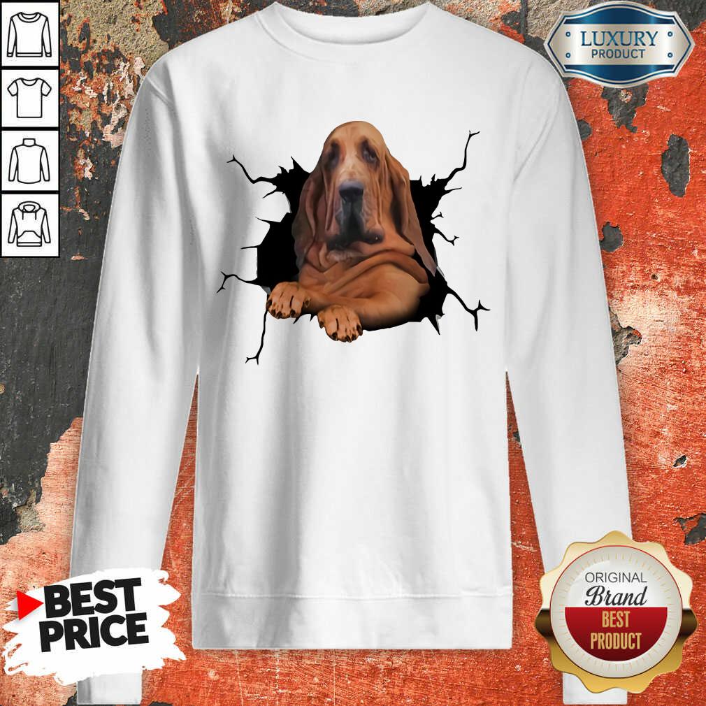 I Love Bloodhound Sweatshirt
