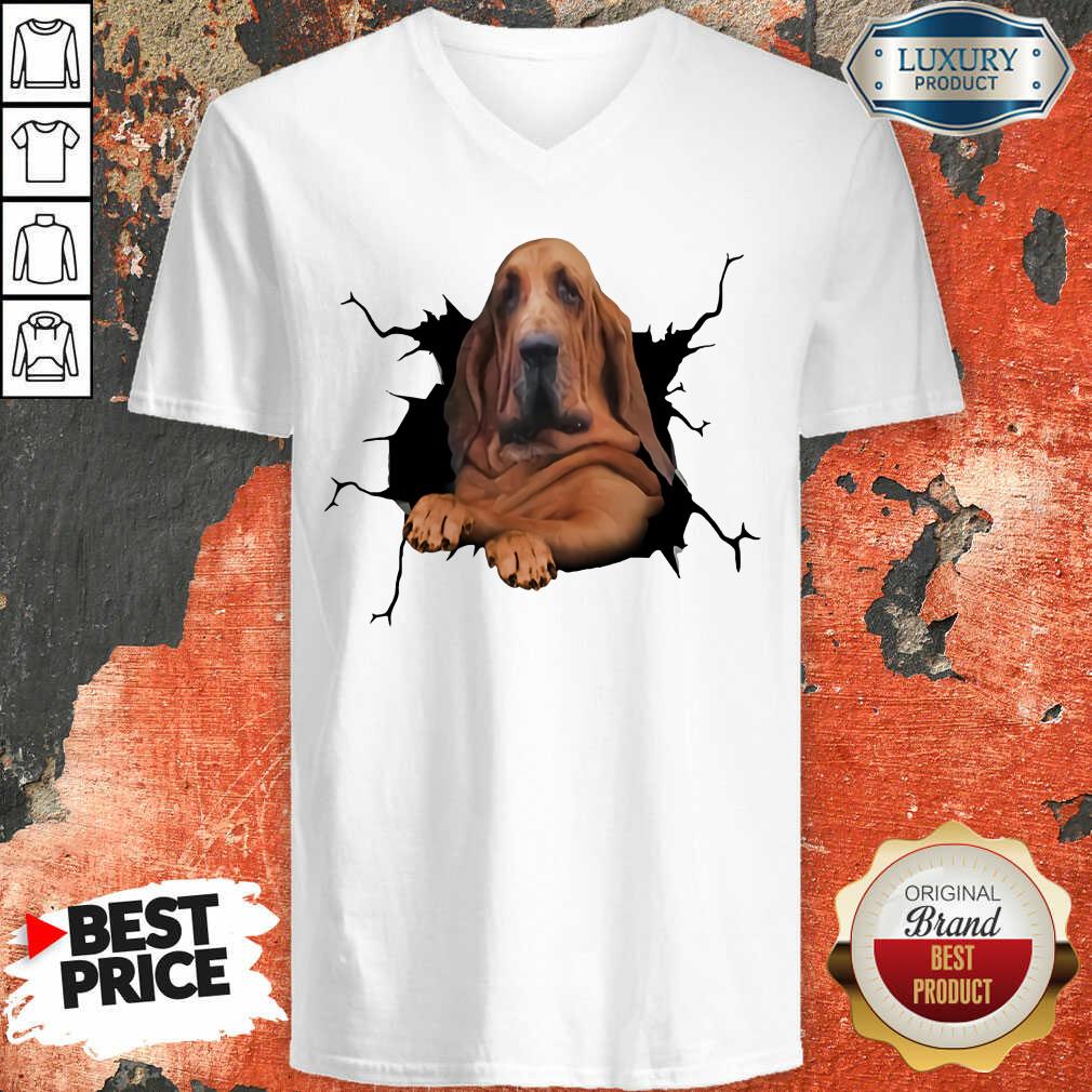 I Love Bloodhound V-neck
