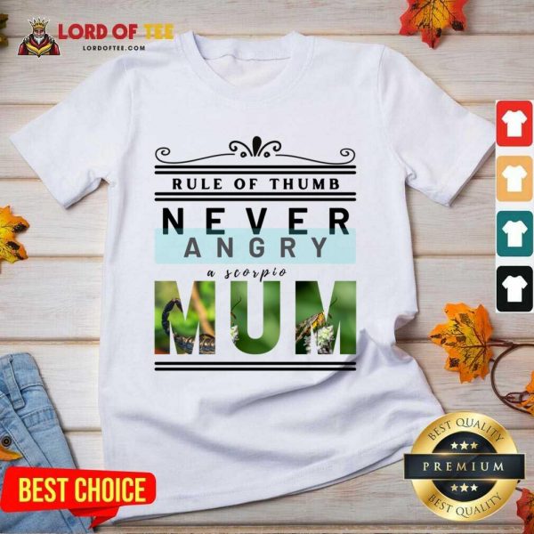Rule Of Thumb Never Angry A Scorpio Mum V-neck