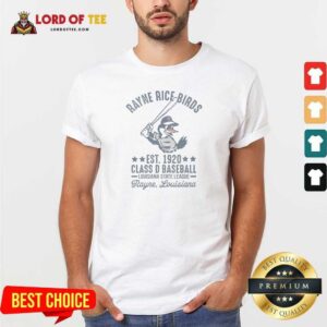 Official Rayne Rice Birds Est 1920 Class D Baseball Louisiana State League