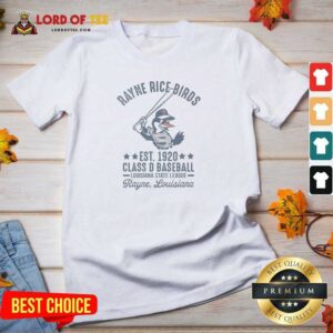 Official Rayne Rice Birds Est 1920 Class D Baseball Louisiana State League V-Neck Shirt