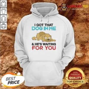 Original I Got That Dog In Me, And He'S Waiting For You Hoodie